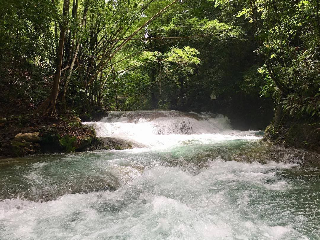 Mayfield Falls Tour Mayfield Falls Tour