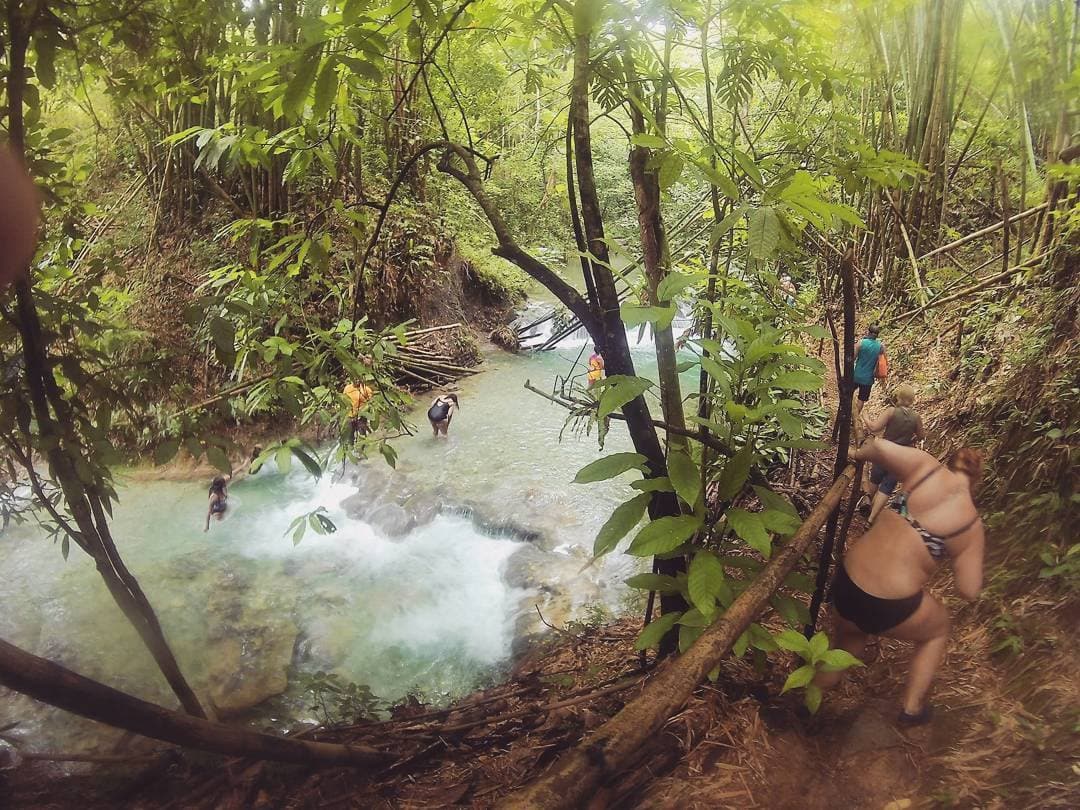 Mayfield Falls Tour Mayfield Falls Tour