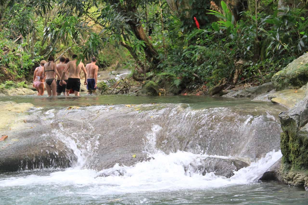 Mayfield Falls Tour Mayfield Falls Tour