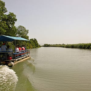 Black River Safari Jamaica