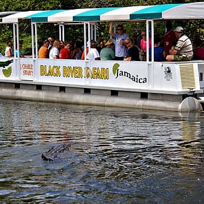 Black River Safari Jamaica
