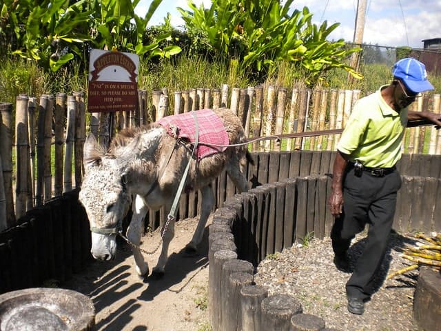 Appleton Estate Rum Tour Appleton Estate Rum Tour