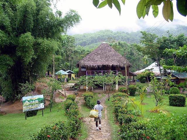 Mayfield Falls Tour Mayfield Falls Tour