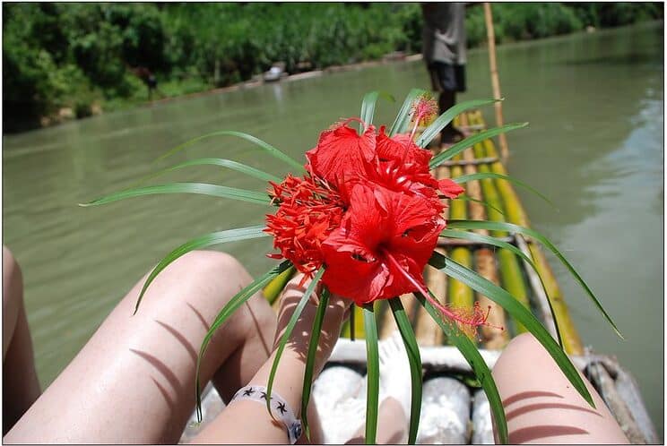 Mountain Valley River Rafting Jamaica Mountain Valley River Rafting Jamaica